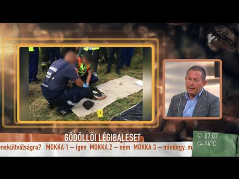 Pető György: emberi mulasztás okozhatta a gödöllői repülőbalesetet - tv2.hu/mokka