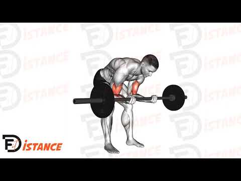 Exercice Curl concentré debout à la barre