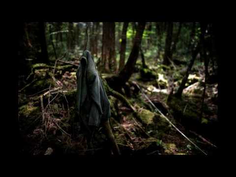 "Creepy miejsca" - Japoński las samobójców.