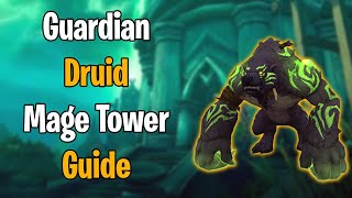Guardian Druid Mage Tower Guide with Jay | Mage tower in Dragonflight