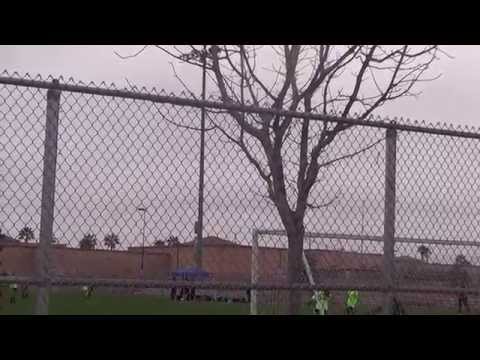 SOPHIA OMIDIJI SBV EXCELSIOR PLAYER