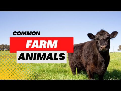 , title : 'Most Common Farm Animals - For Profit or Entertainment'