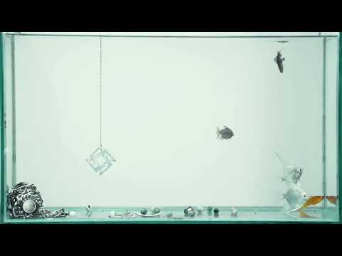 gyuris & grasa - magasan feat. szalai, ekhoe