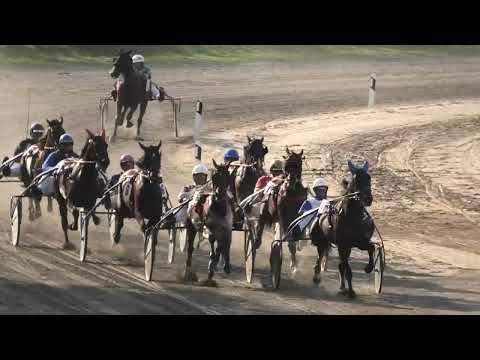 Odri El Doors Subotica, Parma Ferm & M. Gajić