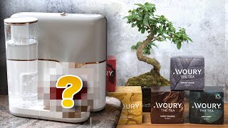 AVOURY ONE im Test – Lohnt sich die Teemaschine?
