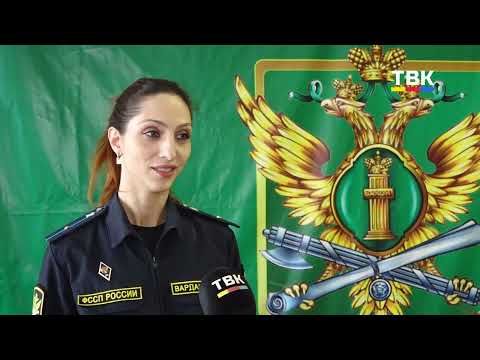 Искитимец погасил алиментный долг, избежав уголовного преследования