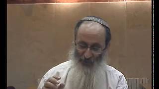 פרשת לך לך | הרמב"ם על אברהם אבינו והרב קוק על האבות – הרב אורי שרקי