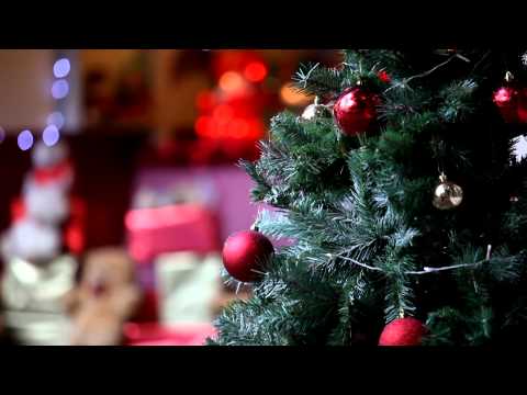 Audley End Miniature Railway Christmas Specials 2014