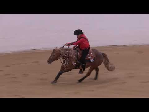 2021 R4M Freestyle Arno Honstetter& Wimpys High Bid