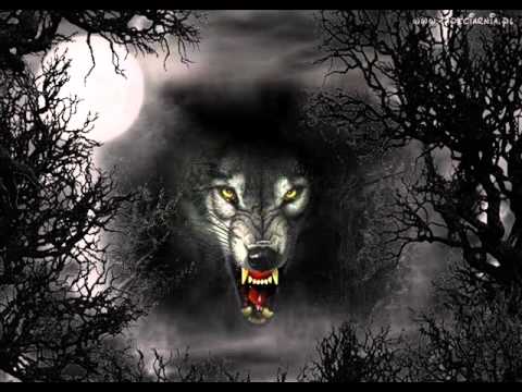 Rasmil-Poczuj grozę