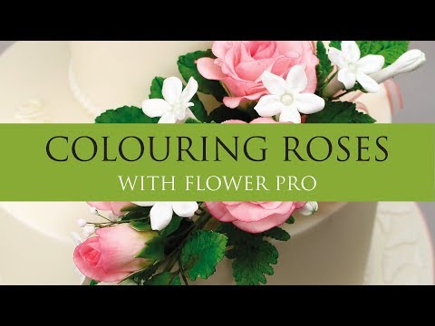 How to: Colouring Sugar Roses l Sugar Flowers