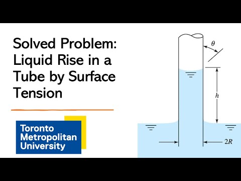 Solved Problem: Liquid Rise in a Tube Due to Surface Tension