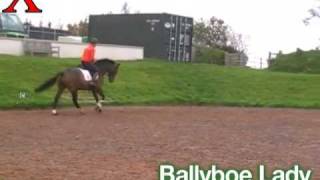 preview picture of video 'Ballyboe Lady from Exmoor Eventing'