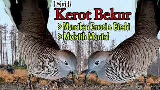 Download lagu PERKUTUT GACOR: Terbaik Kombinasi Suara Kerot Bekur Untuk Menaikkan Mental Emosi Dan Birahi Perkutut mp3 Download lagu PERKUTUT GACOR: Terbaik Kombinasi Suara Kerot Bekur Untuk Menaikkan Mental Emosi Dan Birahi Perkutut mp3