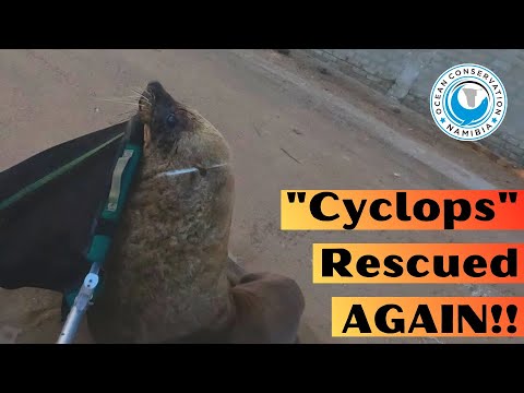 Cyclops Rescued Again!!