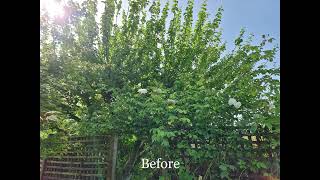 Album cover: Sturminster Marshall