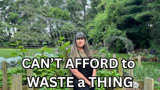 WE CAN'T AFFORD TO WASTE A THING! / Frugal Living in the Garden and Kitchen
