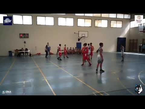 PRECADETE MASCULINO : CB 7 Palmas  -  CB Telde