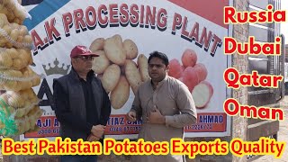 Pakistani potatoes Best Exports Quality 2021