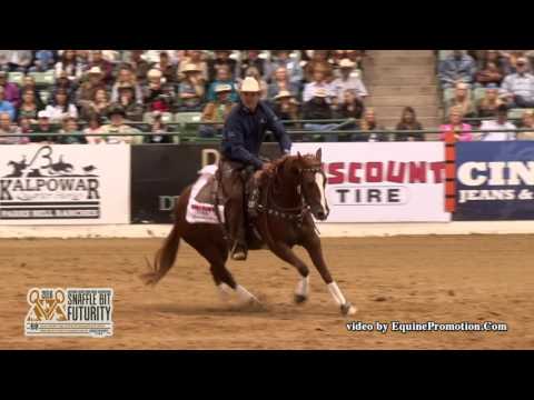 That Cats On Fire ridden by Chris Dawson  - 2016 NRCHA Snaffle Bit Futurity (Rein-FINALS)