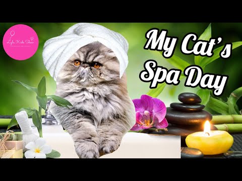 My Cat Has a Spa Day | Persian Cat Grooming | Modified Lion Cut
