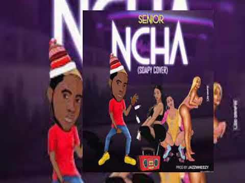 Senior Maintain - Ncha ( Soapy Cover ) Official Audio Igbo version