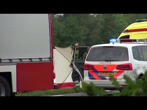 Auto rijdt tegen boom in Valkenswaard: bestuurder komt om het leven