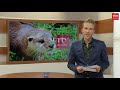 Drenthe Nu 22 november 2019