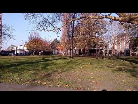 Vernee MIX 2 Camera Test - Video - 1080p Outside In Park