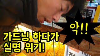 식물 지지대 철사 쉽게 자르는 방법 및 유의사항