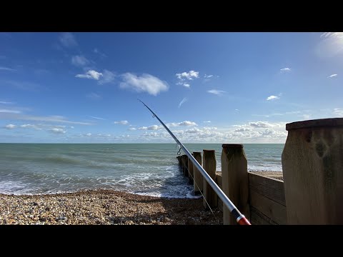 I wasn’t expecting to catch 8 of these today - sea fishing October 2020