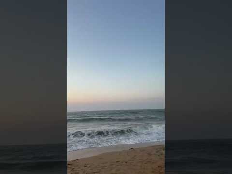 Sea vibes with soothing sounds ❤️where the waves speak louder than words🌊🐚rea #relaxingmusic