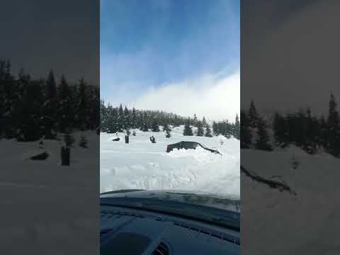 Winter Wonderland Madarasi Hargita Transylvania 2022