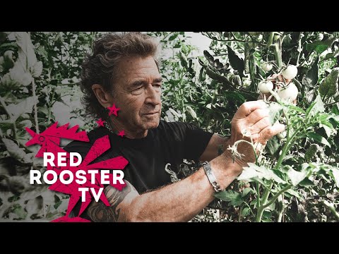Peter Maffay - Hier und Jetzt | Mein Bild von einer besseren Zukunft