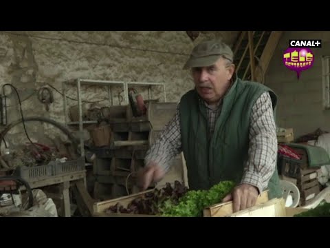 Revolution agricole - Groland - CANAL+