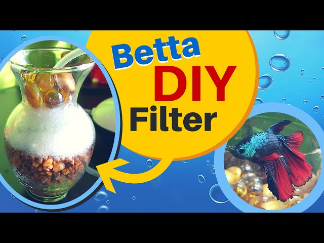 How to make a easy DIY Aquarium Filter for BETTA FISH | Sponge Air Pump Filter