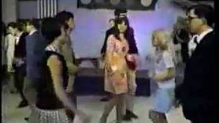 Have Love, Will Travel - The Boojies