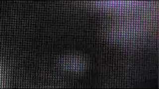 Braids - Lammicken (unofficial)