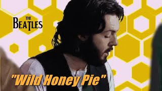 The Beatles  "Wild Honey Pie"  Mad music video!