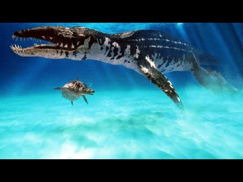 Liopleurodon Tribute