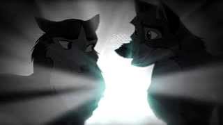 sweet talk - dear in the headlights