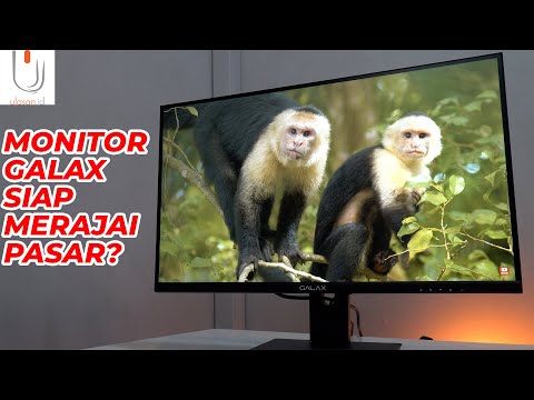 SEBAGUS APA MONITOR GALAX? || PRISMA || VIVANCE
