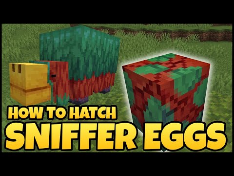 How To Hatch SNIFFER EGGS In MINECRAFT