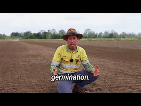 Cultivating more possibilities, for a better future | Greensill Farming | Farmgard Australia