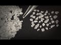 Counting Salt Crystals ASMR