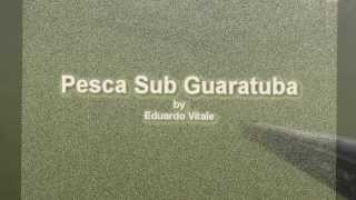 preview picture of video 'Pesca Sub Guaratuba'