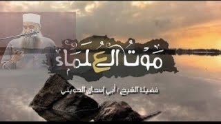 صورة مقطع مؤثر : مصاب الأمة بموت علماء السنة |  للشيخ الحويني