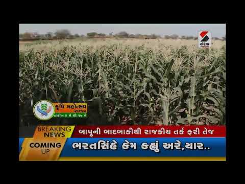 Mayur Amin Bio Liquid...