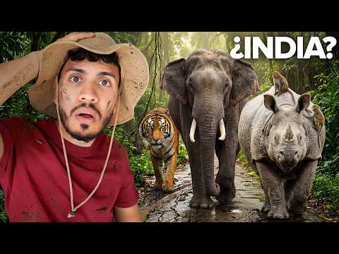 I Went Looking for What NOBODY SHOWS About INDIA 🇮🇳