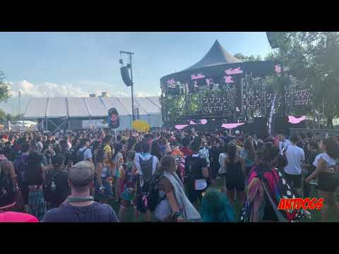 Nitti Gritti b2b Wuki At Electronic Zoo 2019 (Ezoo)